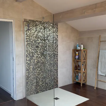 ヴィラ 300m2 Piscine Chauffee Et Jacuzzi-spa De Nage *