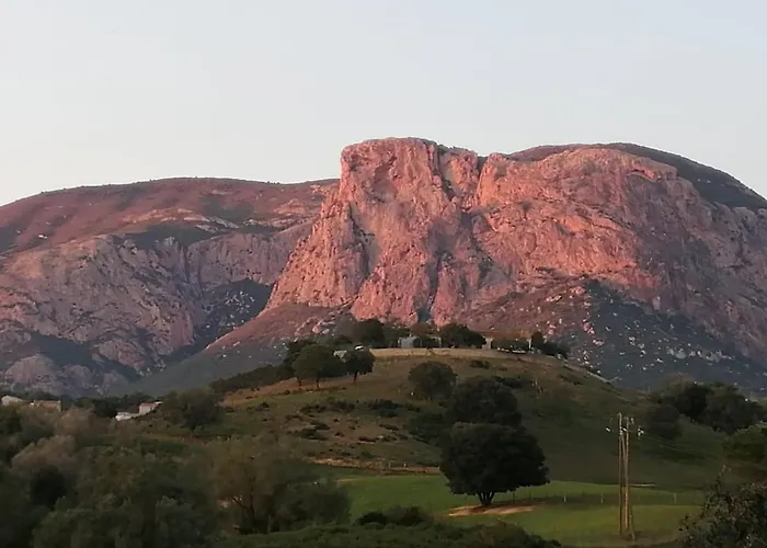 300m2 Piscine Chauffee Et Jacuzzi-spa De Nage * アファ