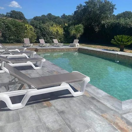 300m2 Piscine Chauffee Et Jacuzzi-spa De Nage *