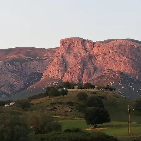 300m2 Piscine Chauffee Et Jacuzzi-spa De Nage * Afa