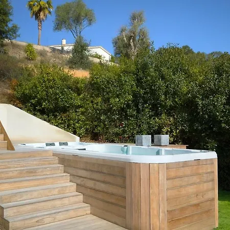 300m2 Piscine Chauffee Et Jacuzzi-spa De Nage Villa