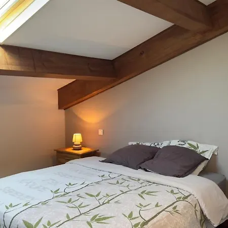 300m2 Piscine Chauffee Et Jacuzzi-spa De Nage